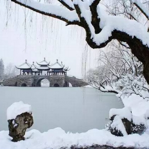 江南雪：为了最秀气而脆弱的雪景