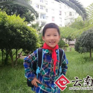 云南红河八岁男童突发重症 父母致公开信求助社会