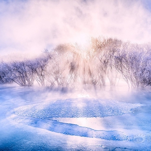 “冬日印象”摄影展在北京景山公园展出