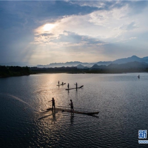 千岛湖开渔展现“水清鱼欢”美丽生态