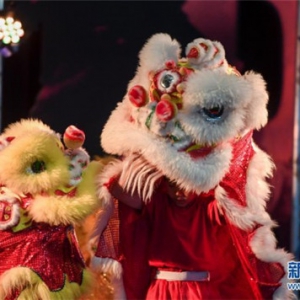 新西兰国博举办“中国舞台日”