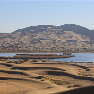 “疫”后花开迈向诗和远方：阿拉善腾格里沙漠天鹅湖