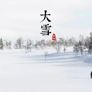 7日“大雪”：六出飞花入户时，坐看青竹变琼枝