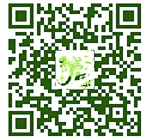 “网络中国节·端午”正式上线