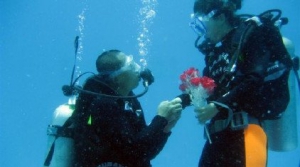 三亚出台潜水旅游服务标准：一个教练带一人