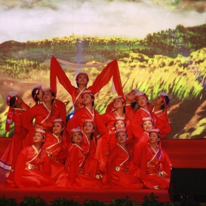 绵竹市举行庆祝中国共产党建党95周年文艺晚会