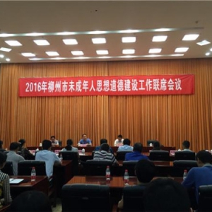 柳州市召开2016年未成年人思想道德建设工作联席会议