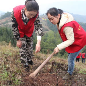 宣汉积极开展2017年“保护母亲河”义务植树活动