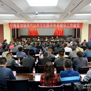 宁南县召开加强现代公共文化服务体系建设工作会议