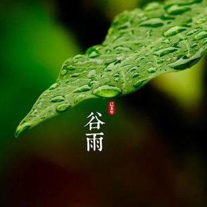 “杨花落尽子规啼”：20日16时55分“谷雨”