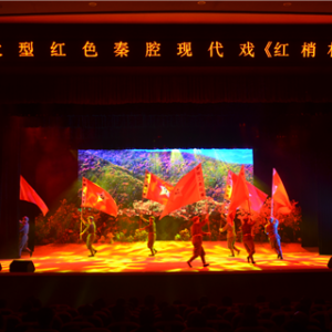 华阴市党员干部集中观看秦腔大戏《红梢林》
