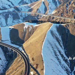 航拍新疆伊犁果子沟冬日景色 天山雪松与白雪相映成趣