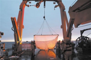 中国南极考察队完成 宇航员海磷虾调查