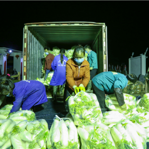 江西万安“菜哥” 捐赠15吨蔬菜支援疫情一线