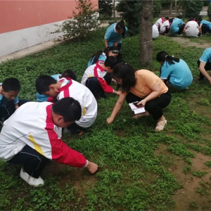陕西省华阴市华岳中学开展卫生大扫除活动