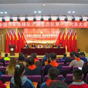 中国少年先锋队浐灞生态区第一届工作委员会成立