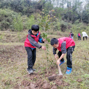 达州市达川区米城乡中心学校开展植树造林活动