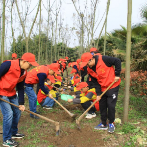 达州市达川区河市镇中心小学政教处组织开展植树活动