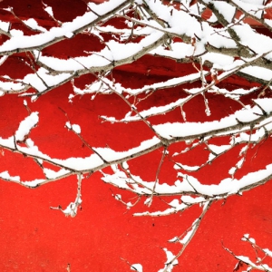 雪落红墙
