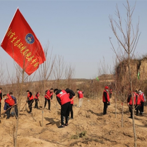 咸阳市乾县：志愿“红”用心栽植生态“绿”