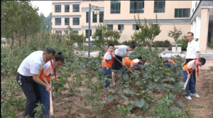 达州市宣汉县厂溪镇中心校成功创建“农村校园劳动实践基地”