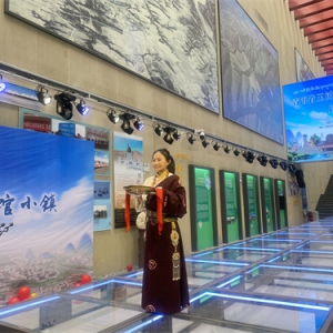 青海玉树打造博物馆小镇：推动区域文化高质量发展