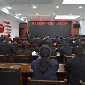 驻马店市确山县人民法院集中学习党的二十大报告精神