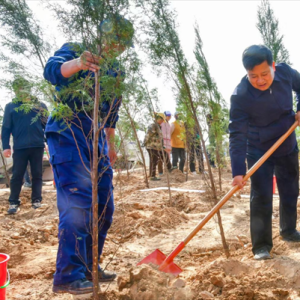 河南省巩义市举行2024年春季全民义务植树活动