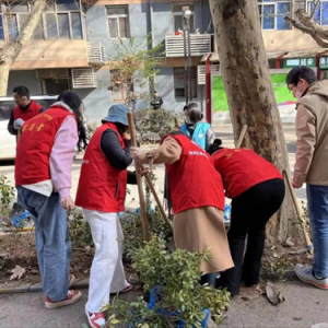 陕西省西安市莲湖区开展植树护绿志愿服务活动