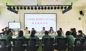 泸县嘉明镇中心幼儿园开展“‘区’动童年，‘域’见美好”区域活动评比