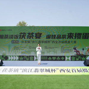 陕西省：西安首届掼蛋大赛在西咸新区泾河新城茯茶镇景区开赛